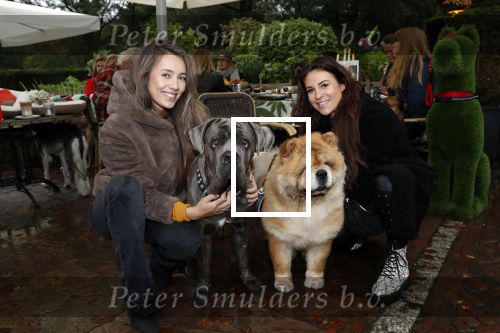 Blaricum 4 oktober 2019
Dierendag met een ontbijt voor de hondjes georganiseerd door Rosanna Kluivert en Nino Wilkes. Anouk Smulders presenteert het. Julia Mekkes en Ann Dominique Wilten