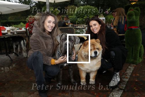 Blaricum 4 oktober 2019
Dierendag met een ontbijt voor de hondjes georganiseerd door Rosanna Kluivert en Nino Wilkes. Anouk Smulders presenteert het. Julia Mekkes en Ann Dominique Wilten