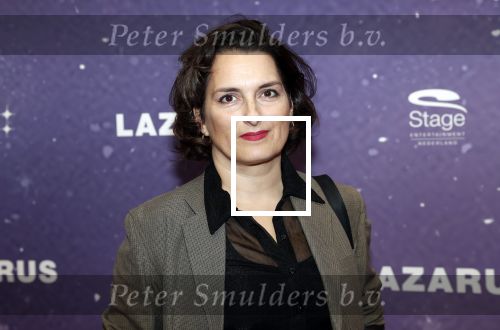 Amsterdam 13 oktober 2019
Premiere Lazarus in het deLamar theater. Karly Wijs