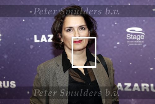 Amsterdam 13 oktober 2019
Premiere Lazarus in het deLamar theater. Karly Wijs