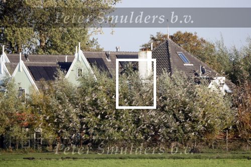 Uitdam 17 oktober 2019
Huis Katja Schuurman en Freek v Noordwijk.