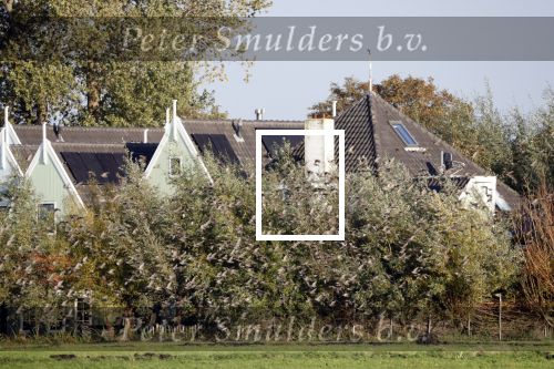 Uitdam 17 oktober 2019
Huis Katja Schuurman en Freek v Noordwijk.