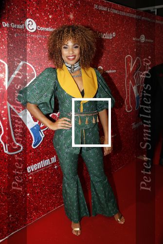 Amsterdam 11 november 2019
Premiere Kinky boots in theater de Meervaart.