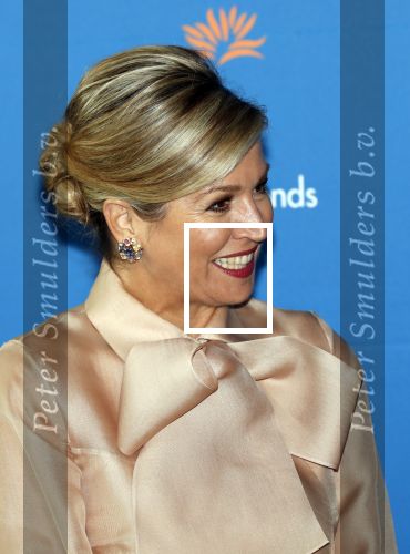 Amsterdam 4 november 2019
Koningin Maxima en prinses Beatrix arriveren bij uitreiking prins Bernhard cultuurprijs in theater aan het IJ.