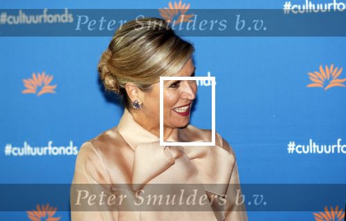 Amsterdam 4 november 2019
Koningin Maxima en prinses Beatrix arriveren bij uitreiking prins Bernhard cultuurprijs in theater aan het IJ.