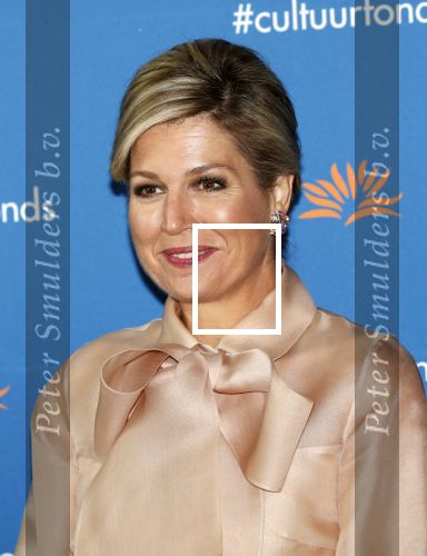Amsterdam 4 november 2019
Koningin Maxima en prinses Beatrix arriveren bij uitreiking prins Bernhard cultuurprijs in theater aan het IJ.