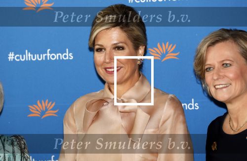 Amsterdam 4 november 2019
Koningin Maxima en prinses Beatrix arriveren bij uitreiking prins Bernhard cultuurprijs in theater aan het IJ.