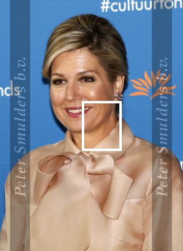 Amsterdam 4 november 2019
Koningin Maxima en prinses Beatrix arriveren bij uitreiking prins Bernhard cultuurprijs in theater aan het IJ.