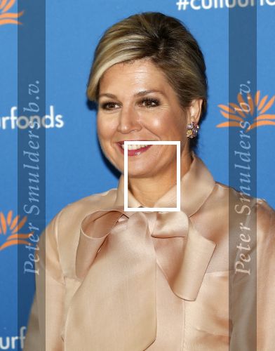 Amsterdam 4 november 2019
Koningin Maxima en prinses Beatrix arriveren bij uitreiking prins Bernhard cultuurprijs in theater aan het IJ.