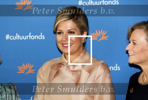 Amsterdam 4 november 2019
Koningin Maxima en prinses Beatrix arriveren bij uitreiking prins Bernhard cultuurprijs in theater aan het IJ.