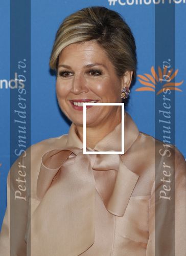Amsterdam 4 november 2019
Koningin Maxima en prinses Beatrix arriveren bij uitreiking prins Bernhard cultuurprijs in theater aan het IJ.