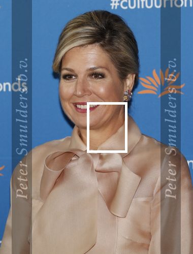 Amsterdam 4 november 2019
Koningin Maxima en prinses Beatrix arriveren bij uitreiking prins Bernhard cultuurprijs in theater aan het IJ.