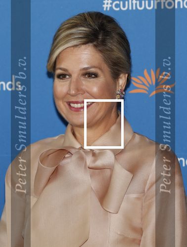 Amsterdam 4 november 2019
Koningin Maxima en prinses Beatrix arriveren bij uitreiking prins Bernhard cultuurprijs in theater aan het IJ.