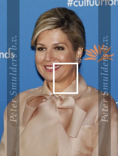 Amsterdam 4 november 2019
Koningin Maxima en prinses Beatrix arriveren bij uitreiking prins Bernhard cultuurprijs in theater aan het IJ.