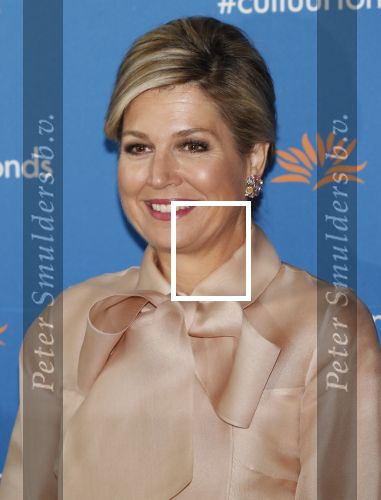 Amsterdam 4 november 2019
Koningin Maxima en prinses Beatrix arriveren bij uitreiking prins Bernhard cultuurprijs in theater aan het IJ.