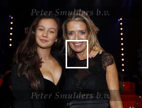 Amsterdam 9 oktober 2019
Uitreiking televizierring 2019 in AFAS Live