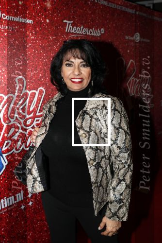 Amsterdam 11 november 2019
Premiere Kinky boots in theater de Meervaart. Laura Fyji met man