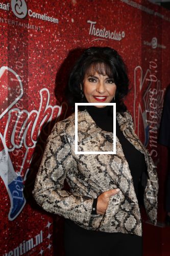 Amsterdam 11 november 2019
Premiere Kinky boots in theater de Meervaart. Laura Fyji met man