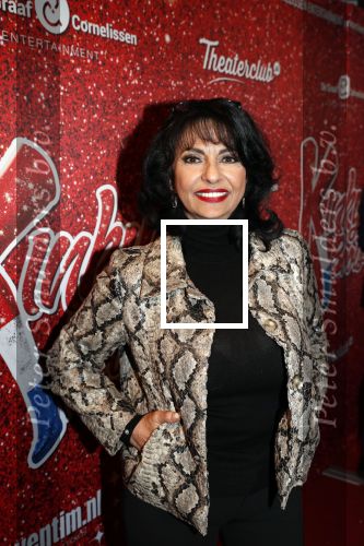 Amsterdam 11 november 2019
Premiere Kinky boots in theater de Meervaart. Laura Fyji met man