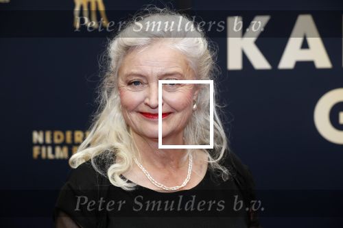 Utrecht 4 oktober 2019
Uitreiking gouden kalveren in schouwburg Utrecht. Leni Breederveld