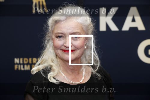 Utrecht 4 oktober 2019
Uitreiking gouden kalveren in schouwburg Utrecht. Leni Breederveld