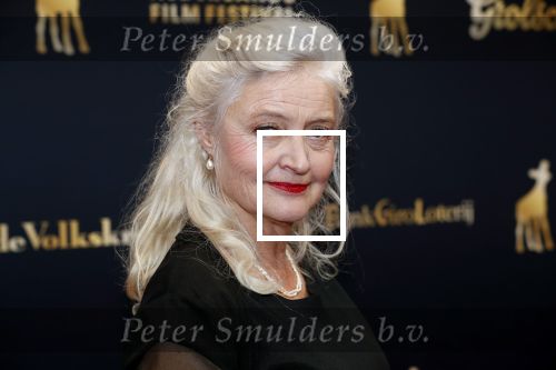 Utrecht 4 oktober 2019
Uitreiking gouden kalveren in schouwburg Utrecht. Leni Breederveld