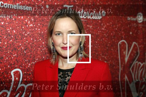 Amsterdam 11 november 2019
Premiere Kinky boots in theater de Meervaart. Leonie Meijer met â€¦