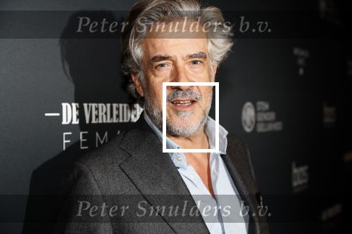 Amsterdam 6 november 2019
Premiere de verleiders in het nieuwe deLamar theater. Leopold Witte