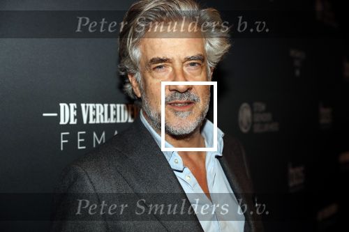 Amsterdam 6 november 2019
Premiere de verleiders in het nieuwe deLamar theater. Leopold Witte