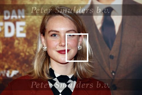 Amsterdam 14 oktober 2019
Premiere Wat is dan liefde in Tuschinski. Lisa Smit