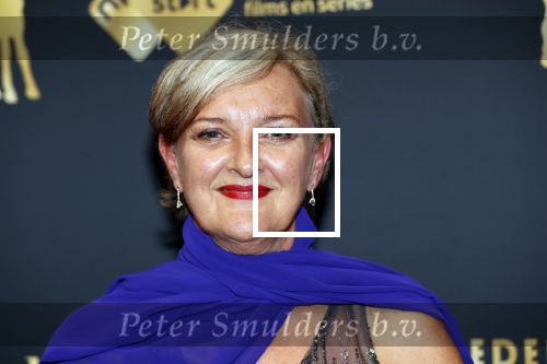 Utrecht 4 oktober 2019
Uitreiking gouden kalveren in schouwburg Utrecht. Loes Schneper