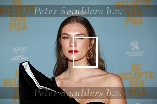 Amsterdam 7 oktober 2019
Premiere de belofte van Pisa in Tuschinski. Maan de Steenwinkel
