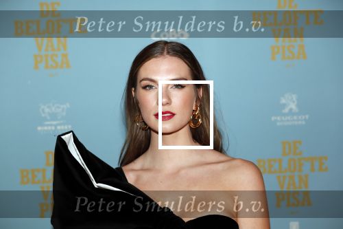 Amsterdam 7 oktober 2019
Premiere de belofte van Pisa in Tuschinski. Maan de Steenwinkel