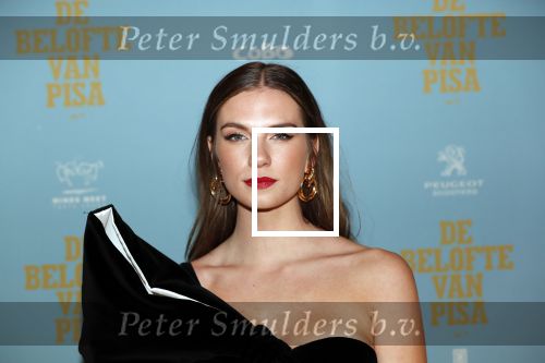 Amsterdam 7 oktober 2019
Premiere de belofte van Pisa in Tuschinski. Maan de Steenwinkel