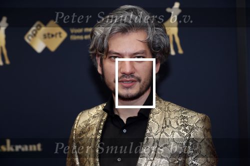 Utrecht 4 oktober 2019
Uitreiking gouden kalveren in schouwburg Utrecht. Maarten Heijmans