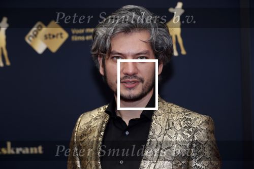 Utrecht 4 oktober 2019
Uitreiking gouden kalveren in schouwburg Utrecht. Maarten Heijmans