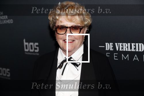 Amsterdam 6 november 2019
Premiere de verleiders in het nieuwe deLamar theater. Marianne v Wijnkoop