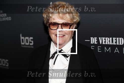 Amsterdam 6 november 2019
Premiere de verleiders in het nieuwe deLamar theater. Marianne v Wijnkoop