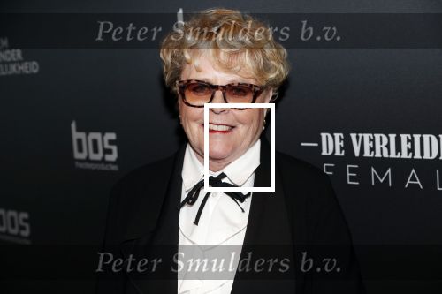 Amsterdam 6 november 2019
Premiere de verleiders in het nieuwe deLamar theater. Marianne v Wijnkoop