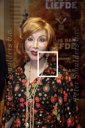 Amsterdam 14 oktober 2019
Premiere Wat is dan liefde in Tuschinski. Marijke Helwegen