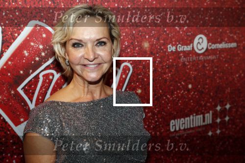 Amsterdam 11 november 2019
Premiere Kinky boots in theater de Meervaart. Mariska v Kolck kwam met een kennis