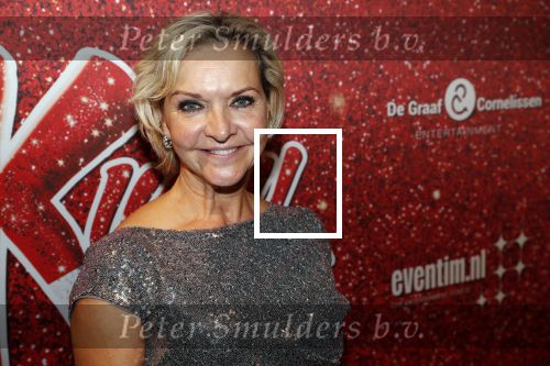 Amsterdam 11 november 2019
Premiere Kinky boots in theater de Meervaart. Mariska v Kolck kwam met een kennis