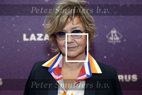 Amsterdam 13 oktober 2019
Premiere Lazarus in het deLamar theater. Mathilde Santing met een vriend