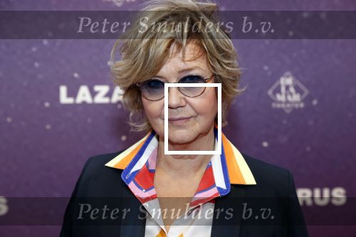 Amsterdam 13 oktober 2019
Premiere Lazarus in het deLamar theater. Mathilde Santing met een vriend