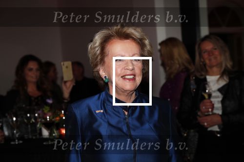Amsterdam 12 november 2019
Presentatie nieuwe Nouveau met Leco v Zadelhoff als gast hoofdredakteur. De presentatie vond plaats in hotel The Dylan . Merel Laseur