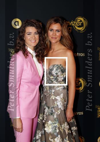 Amsterdam 9 oktober 2019
Uitreiking televizierring 2019 in AFAS Live. Merel Westrik kwam met haar zus