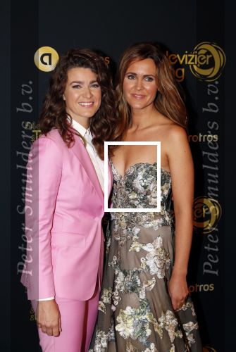 Amsterdam 9 oktober 2019
Uitreiking televizierring 2019 in AFAS Live. Merel Westrik kwam met haar zus
