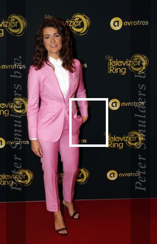Amsterdam 9 oktober 2019
Uitreiking televizierring 2019 in AFAS Live. Merel Westrik kwam met haar zus