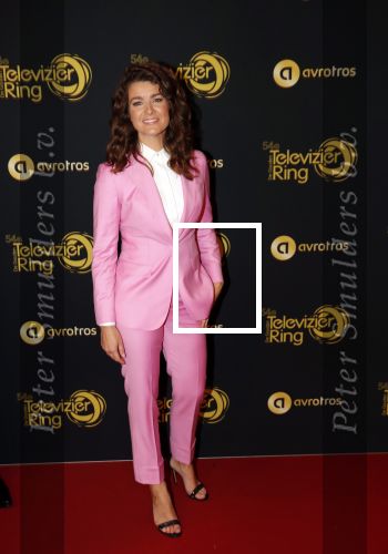 Amsterdam 9 oktober 2019
Uitreiking televizierring 2019 in AFAS Live. Merel Westrik kwam met haar zus