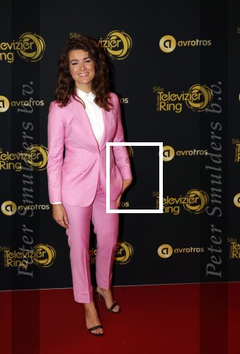 Amsterdam 9 oktober 2019
Uitreiking televizierring 2019 in AFAS Live. Merel Westrik kwam met haar zus